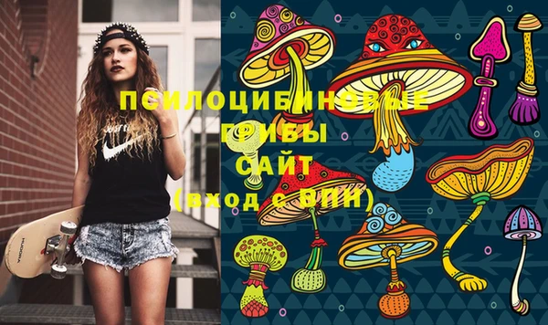 героин Алзамай