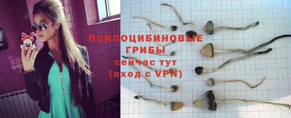 а пвп мука Абдулино