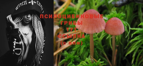 круглые Алексеевка